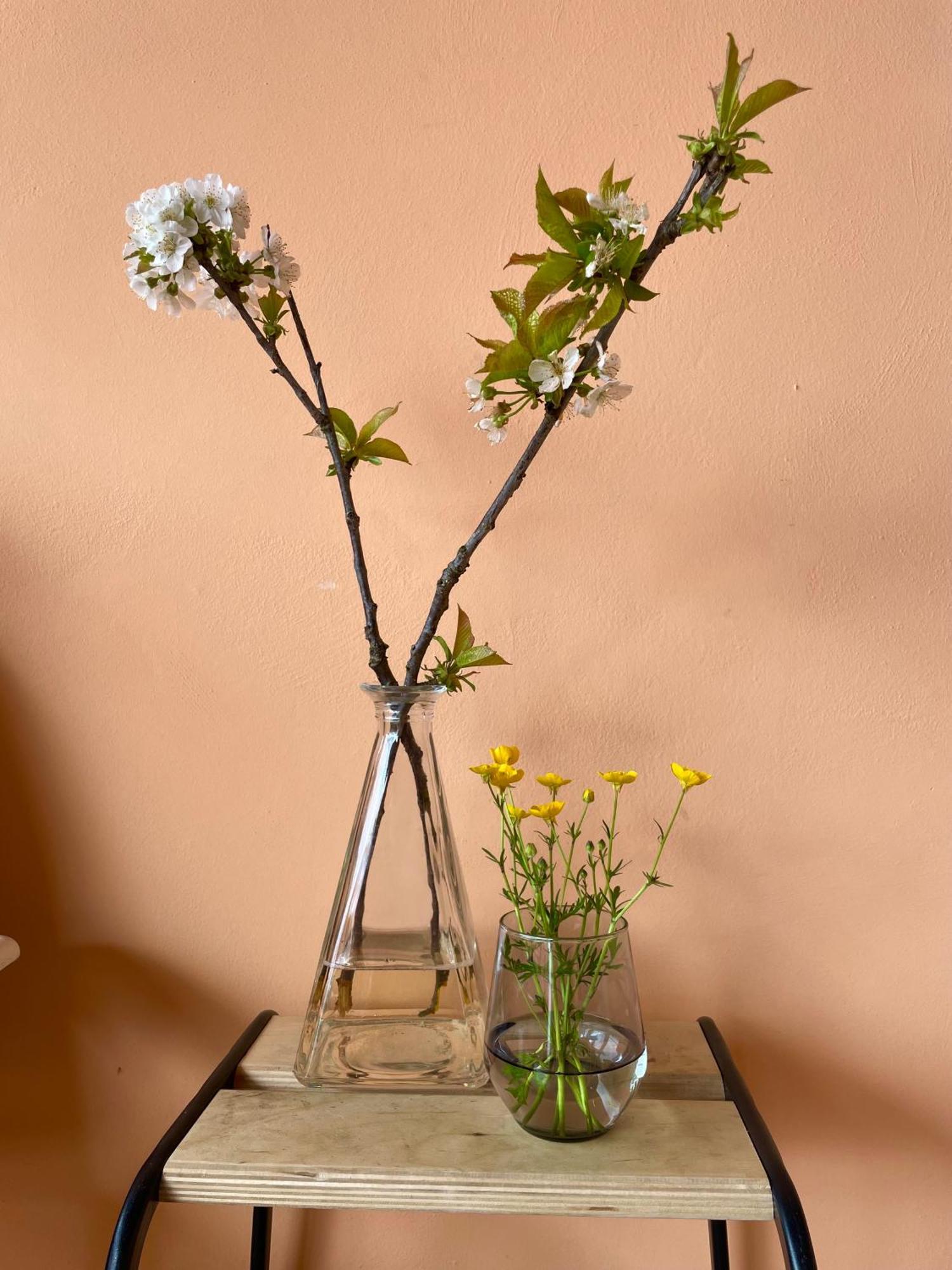 Studio Rosa Miagliano 外观 照片